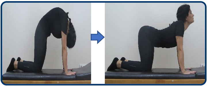 Emekleme pozisyonunda durun. Başınızı aşağı doğru indirdiğinizde sırtınızı kambur yapın. Daha sonrasında başınızı kaldırdığınızda belinizi çukurlaştırın. Her pozisyonda 5 sn tutun ve diğer pozisyona geçin.